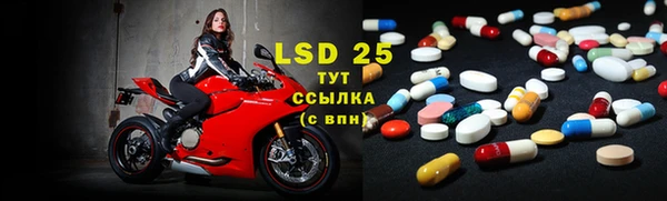 крисы Надым