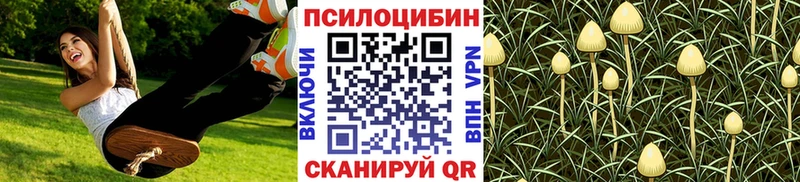 Галлюциногенные грибы ЛСД где можно купить наркотик Новотроицк