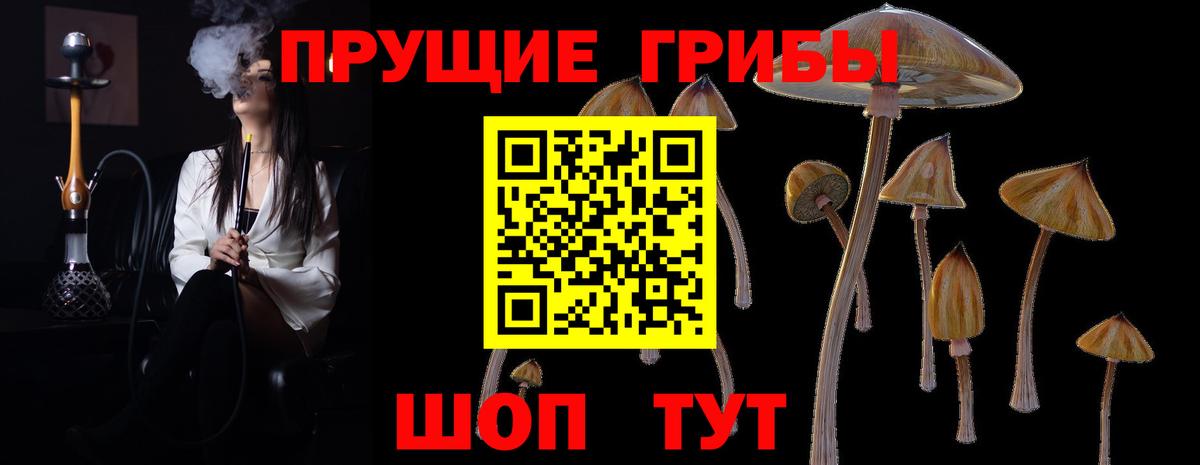 Псилоцибиновые грибы Magic Shrooms Новотроицк